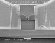 Micropump fluidic diode