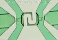 Micropump chamber Micropump chamber